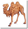 5 Inch Standing Camel