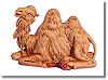 5 Inch Seated Camel