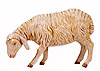 27 Inch Scale Sheep