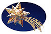 Lighted Star