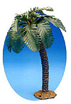 5 Inch Palm Tree