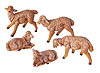 5 Inch White Sheep - Set