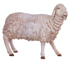 70 Inch Scale Adult Sheep by Fontanini