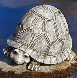 Turtle Figure