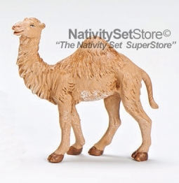 7.5 Inch Scale Baby Dromedary, by Fontanini